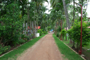 dsc03365
